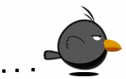 timg4.gif